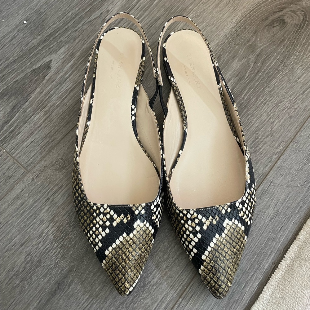 Everlane Python Flats